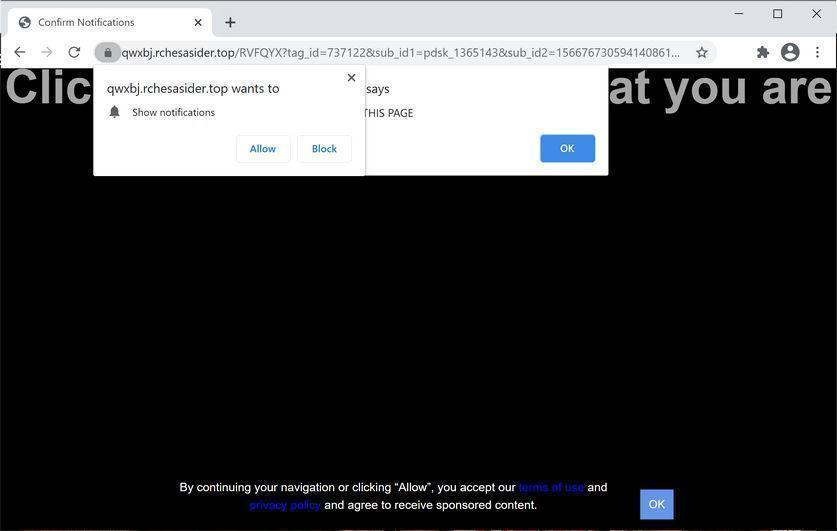 Image: Chrome browser is redirected to Rchesasider.top