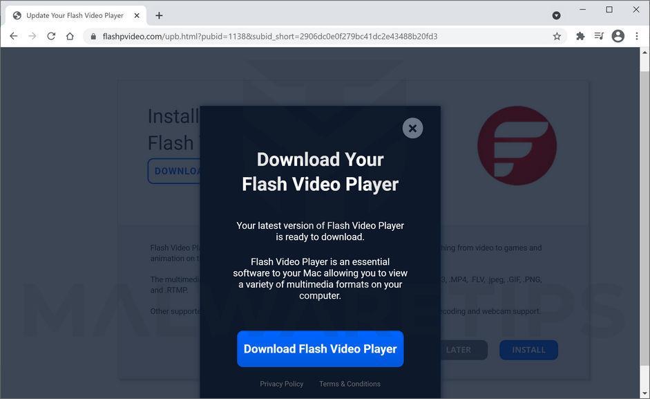 Image: FlashPVideo browser hijacker