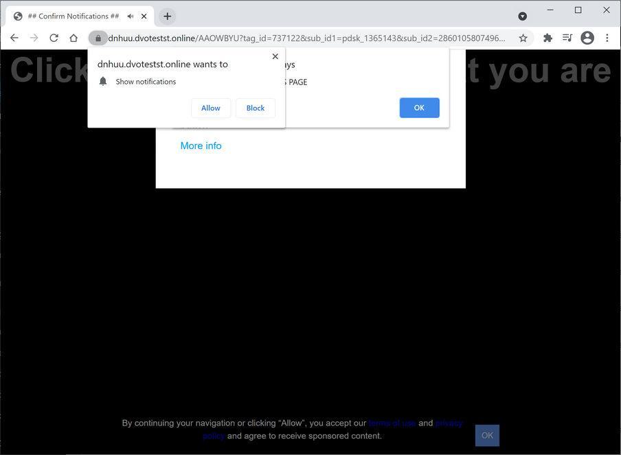 Image: Chrome browser is redirected to Dvotestst.online