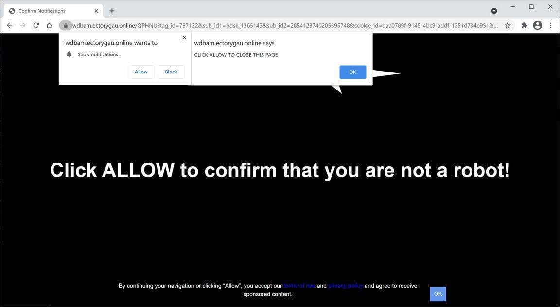 Image: Chrome browser is redirected to Ectorygau.online