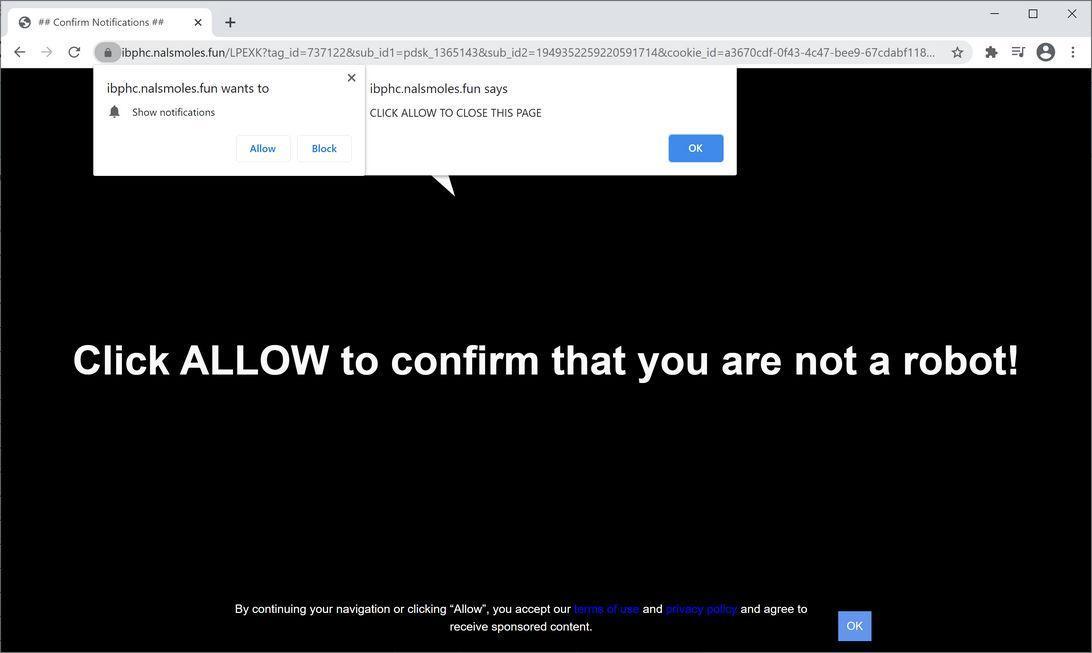 Image: Chrome browser is redirected to Nalsmoles.fun