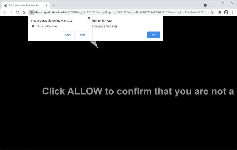 Image: Chrome browser is redirected to Pgradulti.online