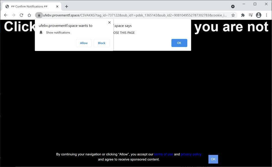 Image: Chrome browser is redirected to Provementf.space