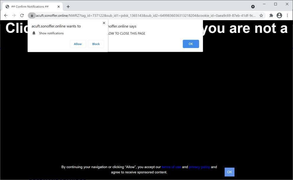 Image: Chrome browser is redirected to Sonoffer.online