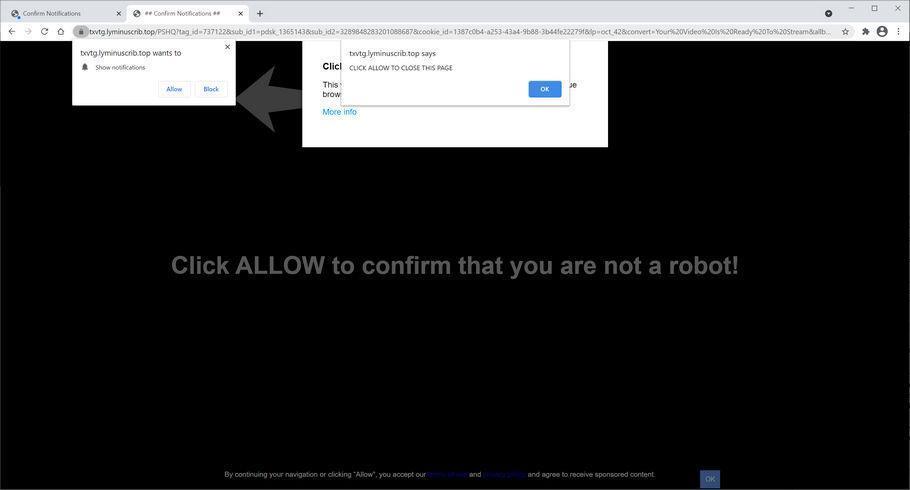 Image: Chrome browser is redirected to Lyminuscrib.top