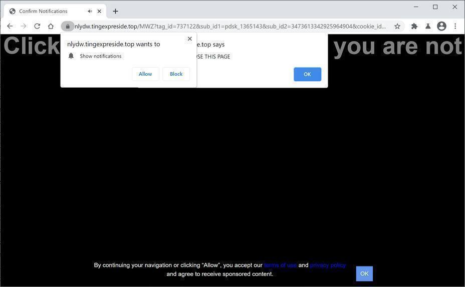 Image: Chrome browser is redirected to Tingexpreside.top