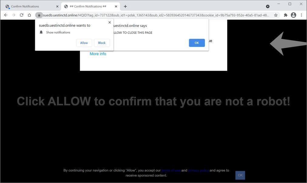 Image: Chrome browser is redirected to Uestinctd.online