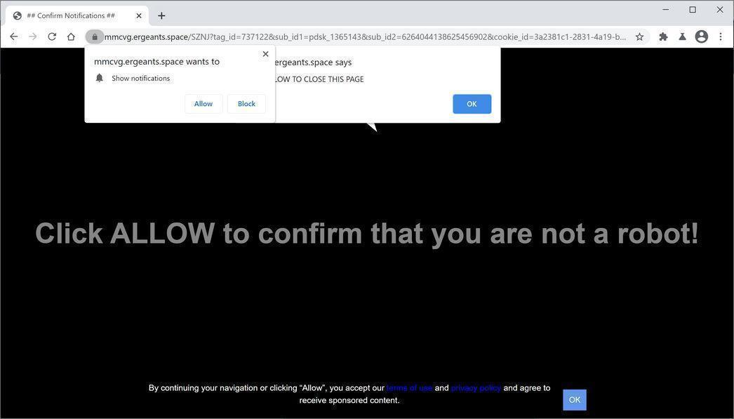 Image: Chrome browser is redirected to Ergeants.space
