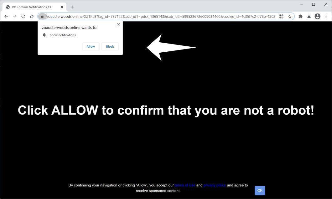 Image: Chrome browser is redirected to Erwoods.online