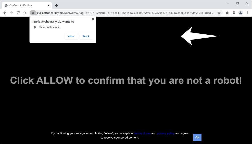 Image: Chrome browser is redirected to Attohearally.biz