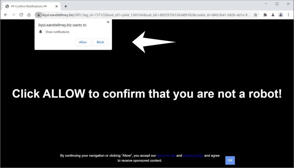 Image: Chrome browser is redirected to Eandtellmey.biz