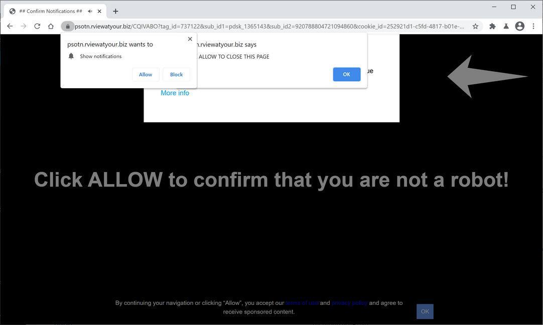 Image: Chrome browser is redirected to Rviewatyour.biz