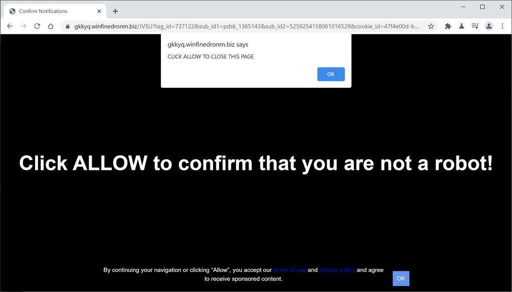 Image: Chrome browser is redirected to Winfinedronm.biz