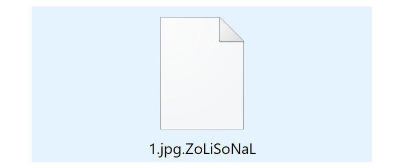 Image: ZoLiSoNaL ransomware