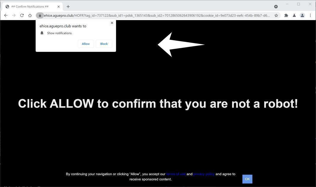 Image: Chrome browser is redirected to Aguepro.club