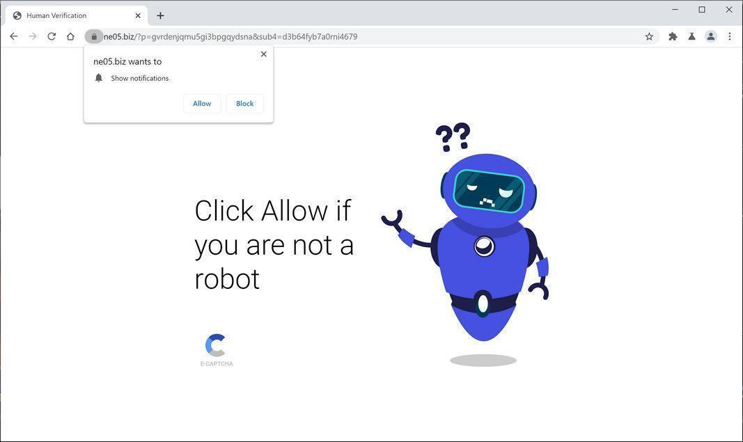 Image: Chrome browser is redirected to Ne05.biz