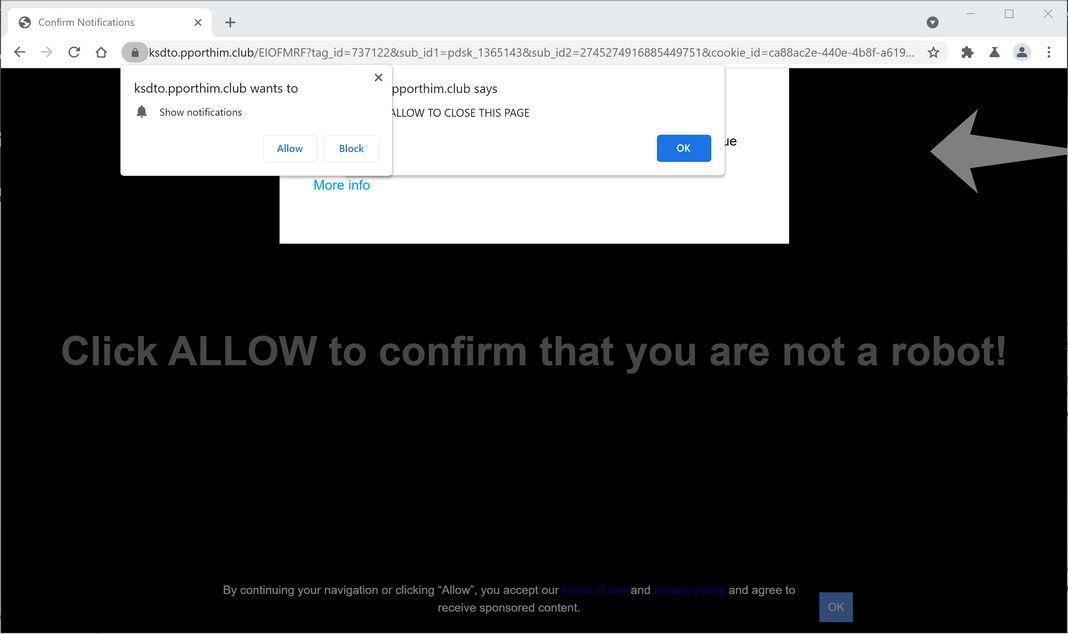 Image: Chrome browser is redirected to Pporthim.club