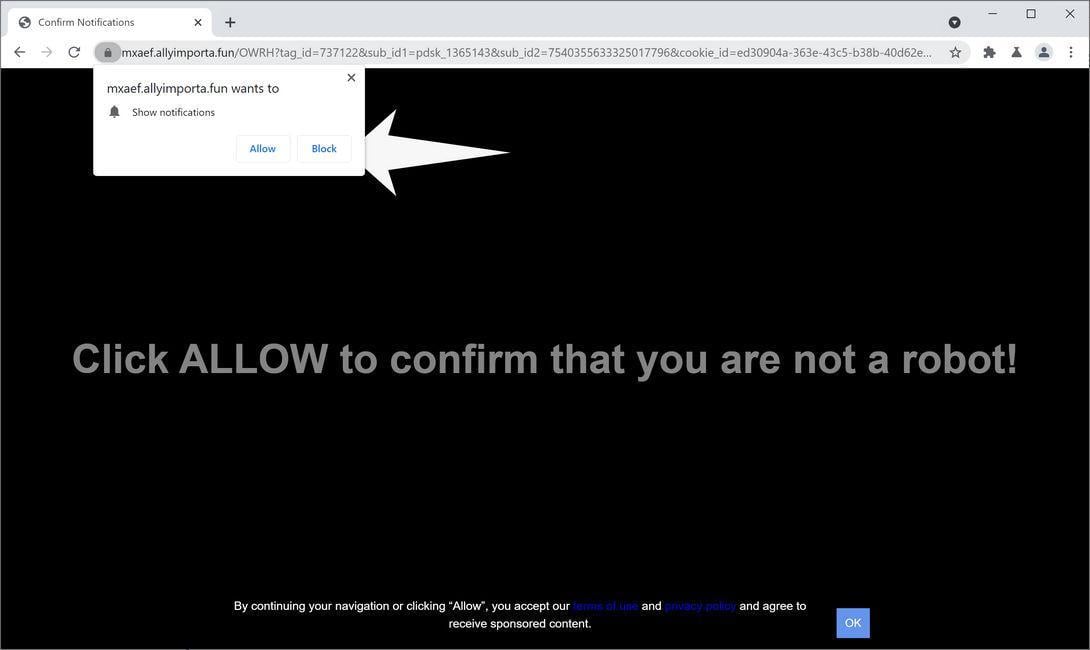 Image: Chrome browser is redirected to Allyimporta.fun