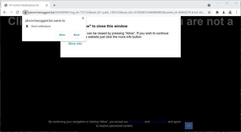 Image: Chrome browser is redirected to Hesuggest.biz