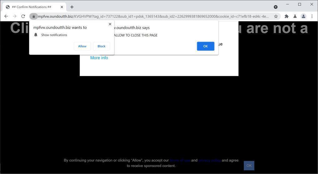 Image: Chrome browser is redirected to Oundoutth.biz