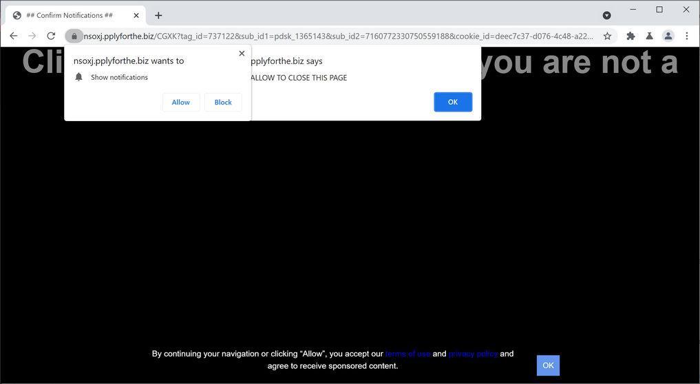  Image: Chrome browser is redirected to Pplyforthe.biz