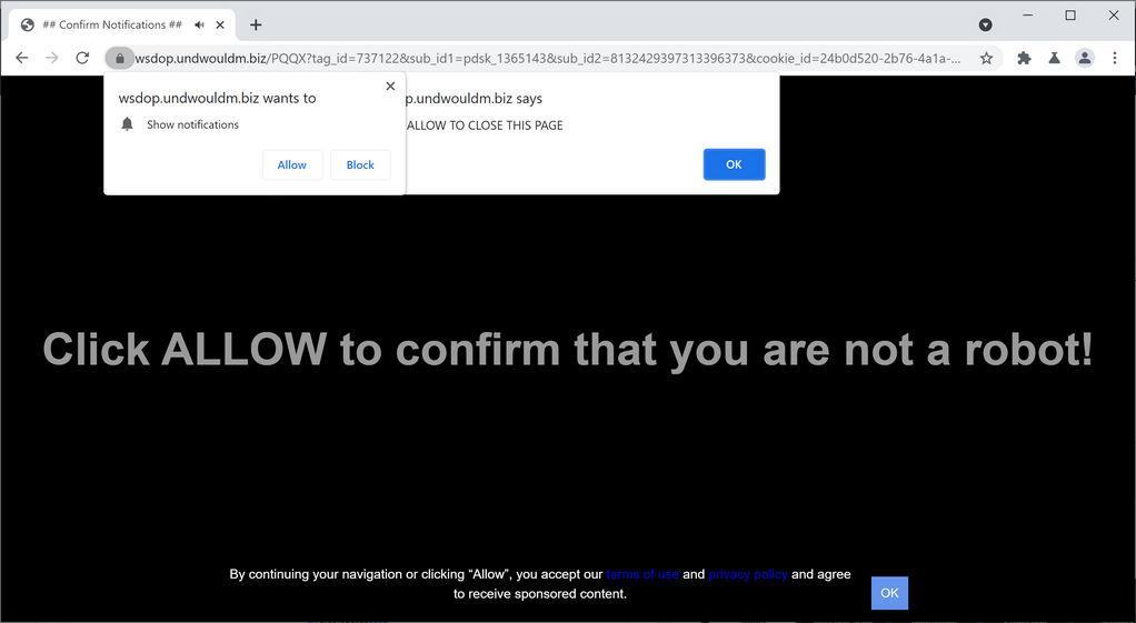 Image: Chrome browser is redirected to Undwouldm.biz