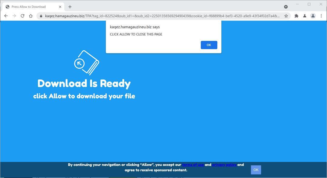 Image: Chrome browser is redirected to Hamagauzineu.biz