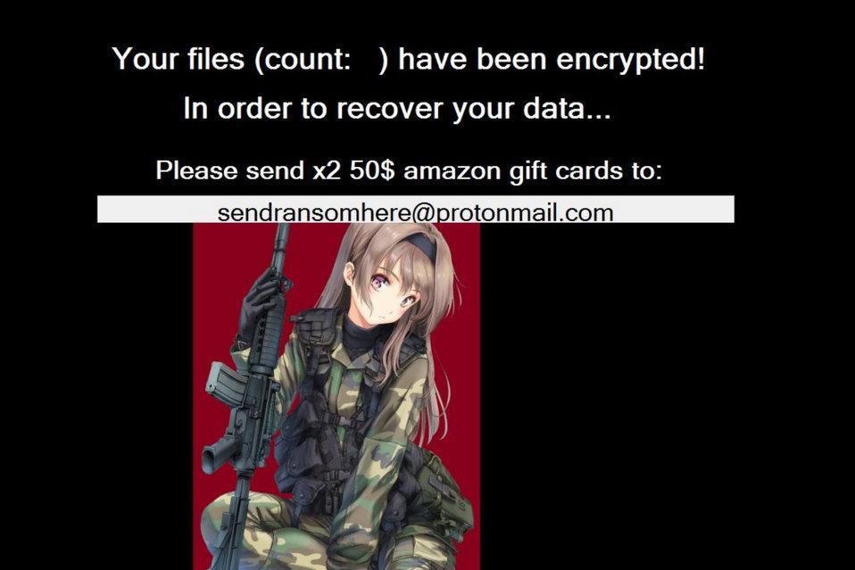 Image: FancyLeaks ramsoware note