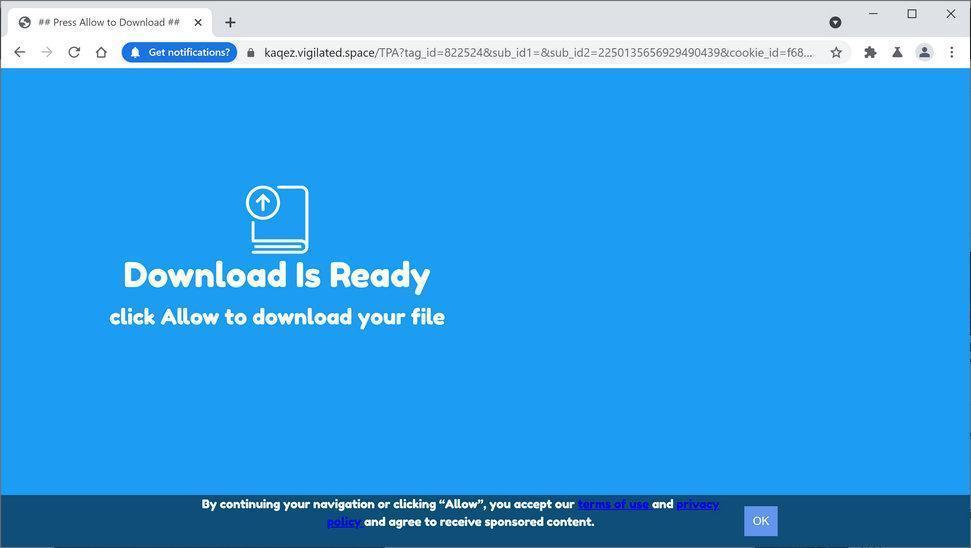 Image: Chrome browser is redirected to Vigilated.space