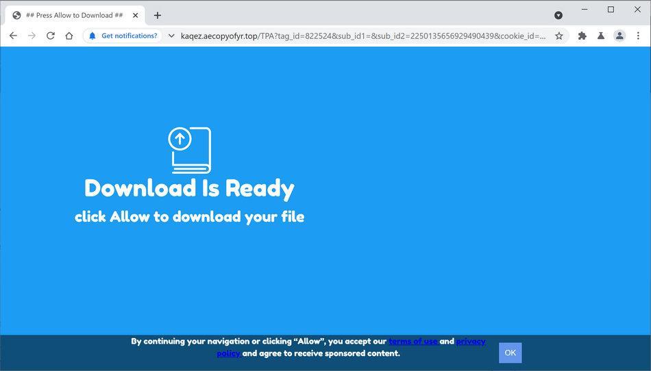 Image: Chrome browser is redirected to Aecopyofyr.top