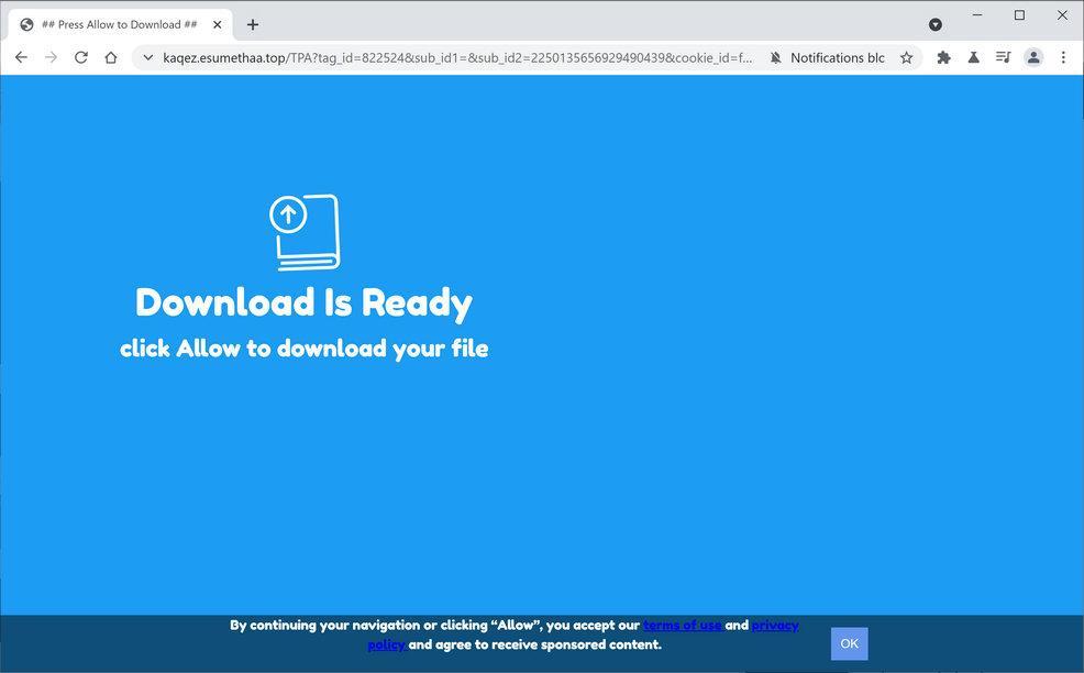 Image: Chrome browser is redirected to Esumethaa.top