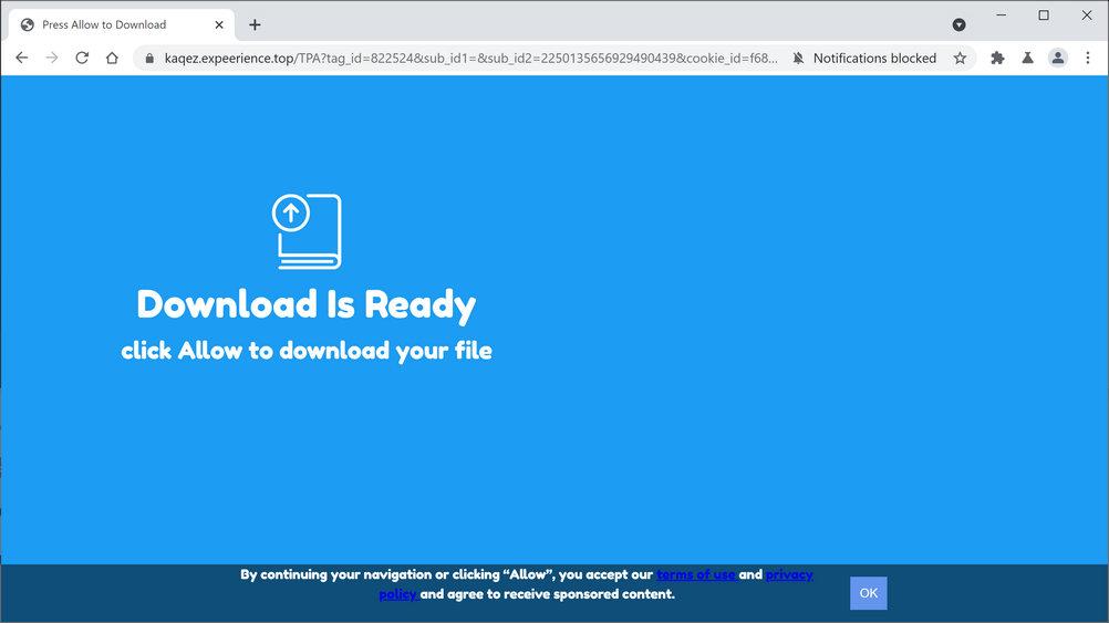 Image: Chrome browser is redirected to Expeerience.top