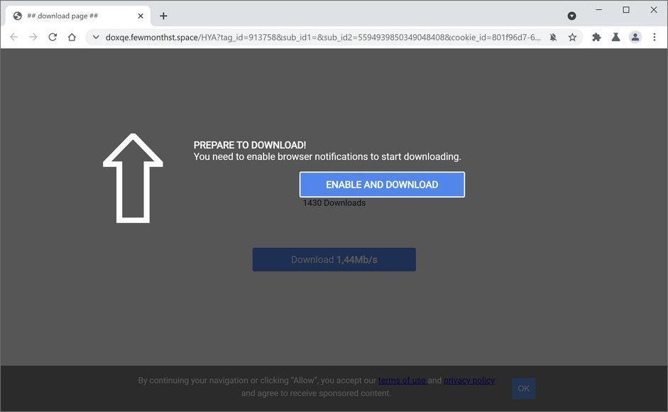 Image: Chrome browser is redirected to Fewmonthst.space