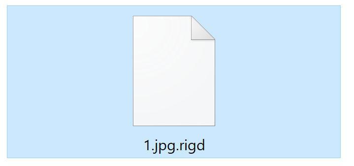 Image: RIGD File Encrypted