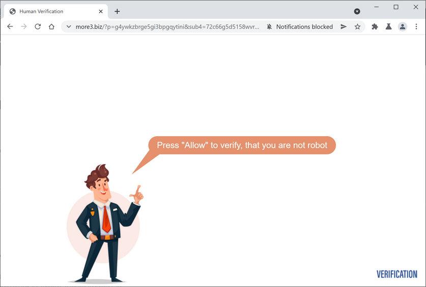 Image: Chrome browser is redirected to More3.biz