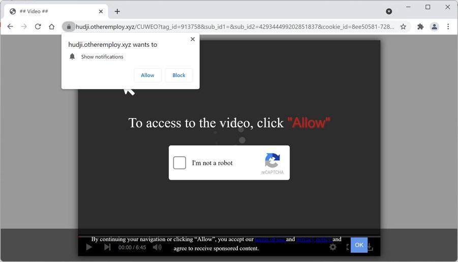 Image: Chrome browser is redirected to Otheremploy.xyz