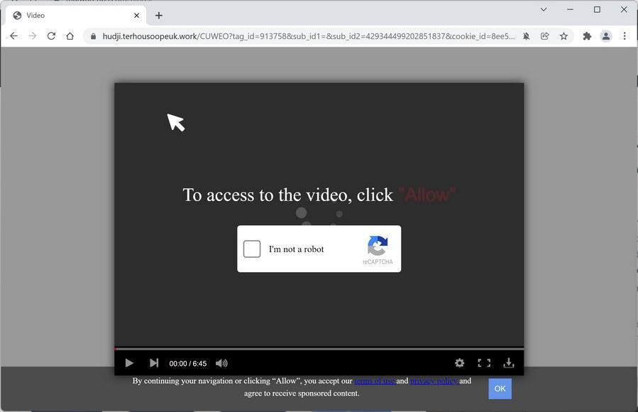 Image: Chrome browser is redirected to Terhousoopeuk.work