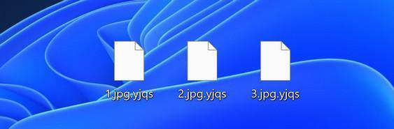 Image: YJQS files encrypted