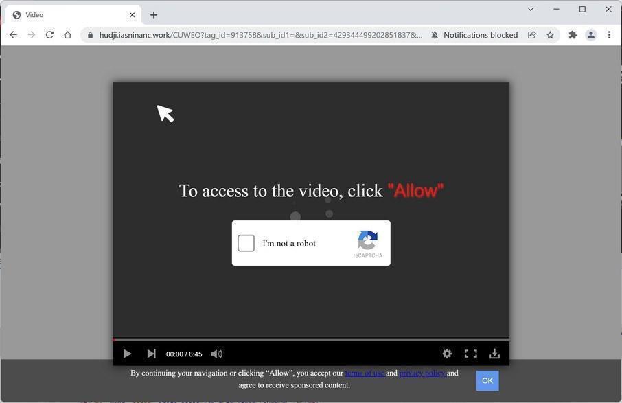 How to Remove Iasninanc.work Pop-up Ads (Virus Removal Guide) 1 Image: Chrome browser is redirected to Iasninanc.work