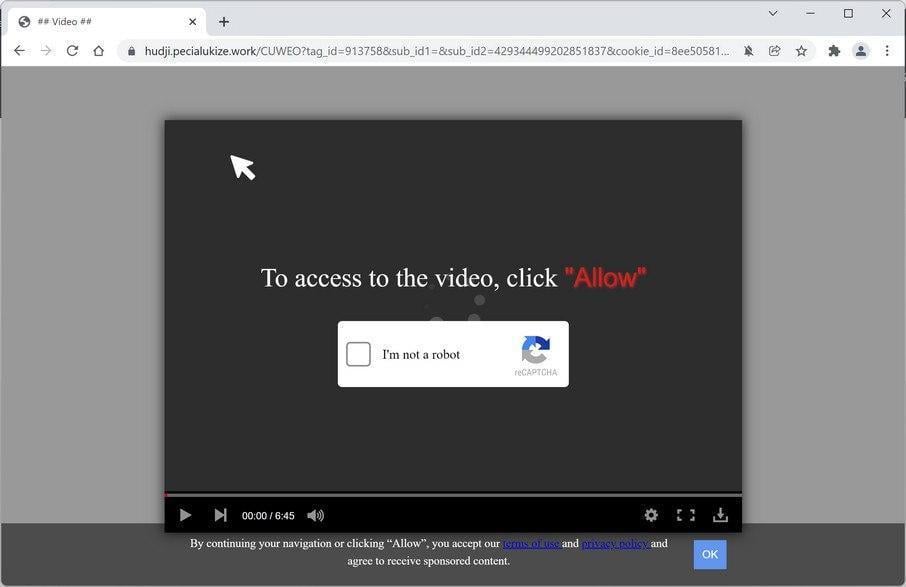 Image: Chrome browser is redirected to Pecialukize.work