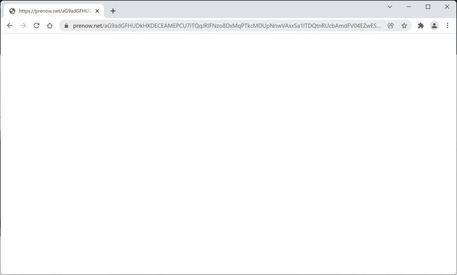 Image: Chrome browser is redirected to Prenow.net