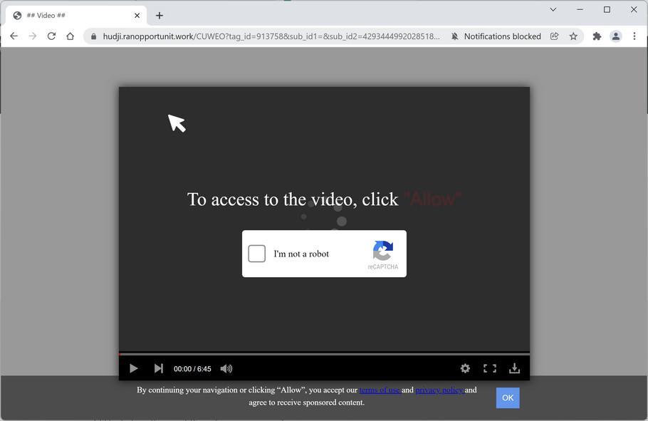Remove Ranopportunit.work Pop-up Ads (Virus Removal Guide) 1 Image: Chrome browser is redirected to Ranopportunit.work