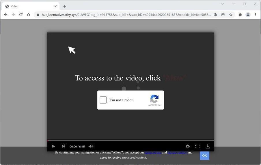 Image: Chrome browser is redirected to Sentativesathy.xyz