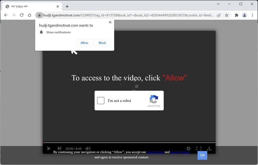 Image: Chrome browser is redirected to Tgandmotivat.com