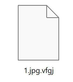 Image: VFGJ files encrypted
