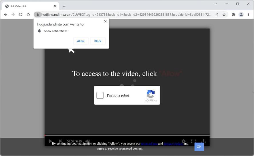 Image: Chrome browser is redirected to Ndandinte.com