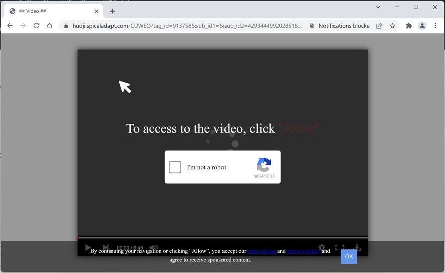 Image: Chrome browser is redirected to Spicaladapt.com