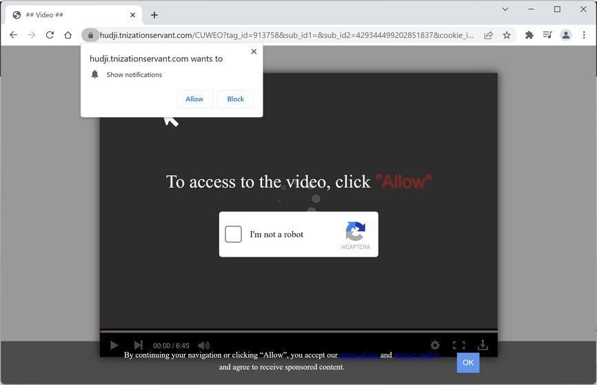 Image: Chrome browser is redirected to Tnizationservant.com