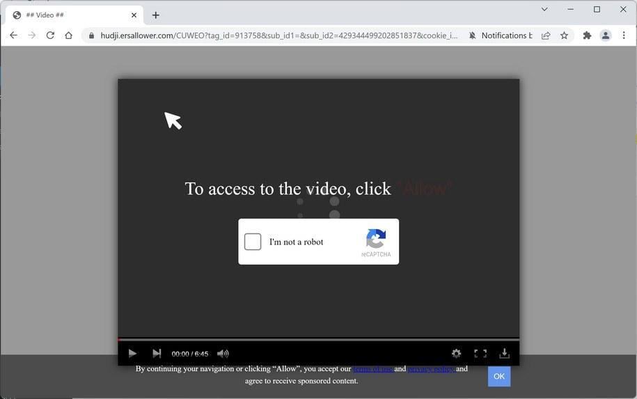 Image: Chrome browser is redirected to Ersallower.com