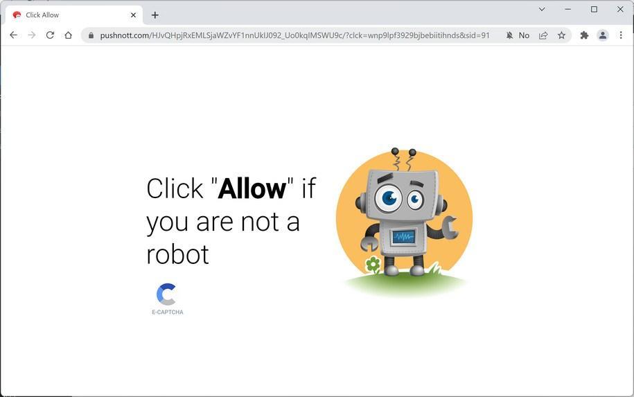 Image: Chrome browser is redirected to Pushnott.com